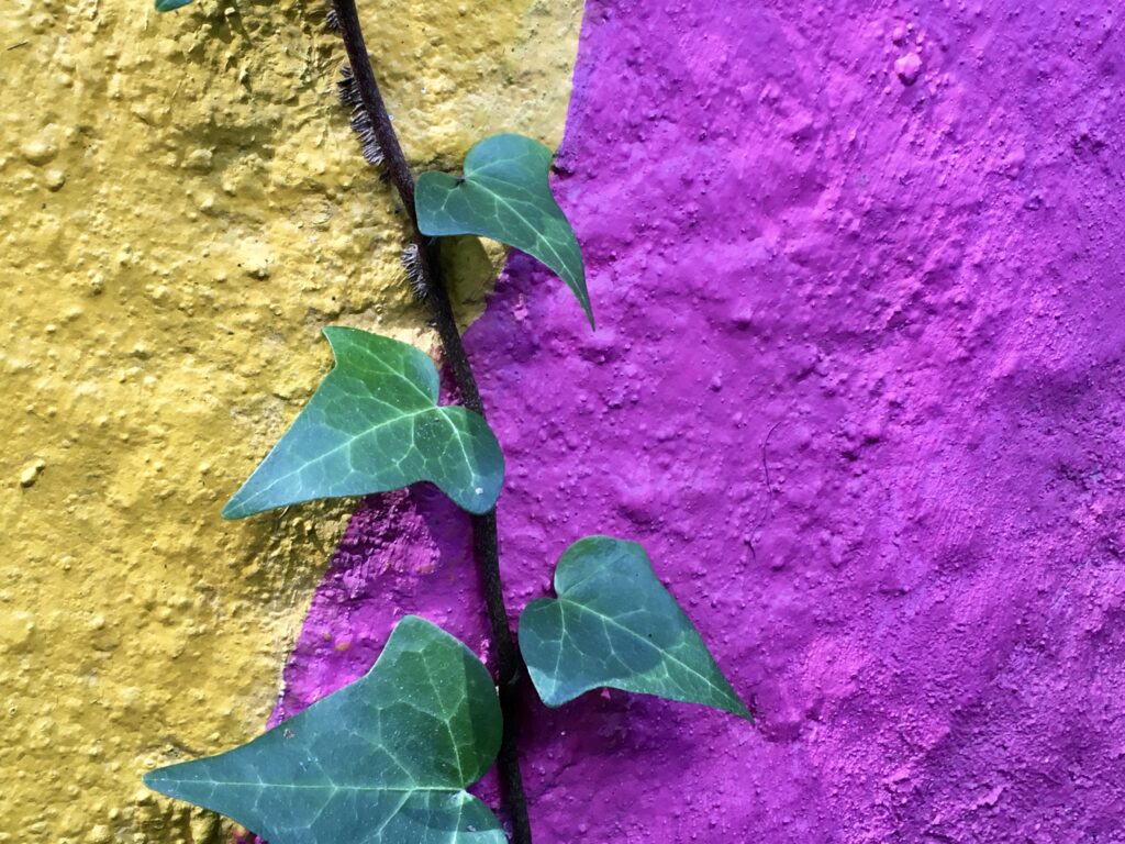How Can I Cultivate Resilience In The Face Of Adversity?